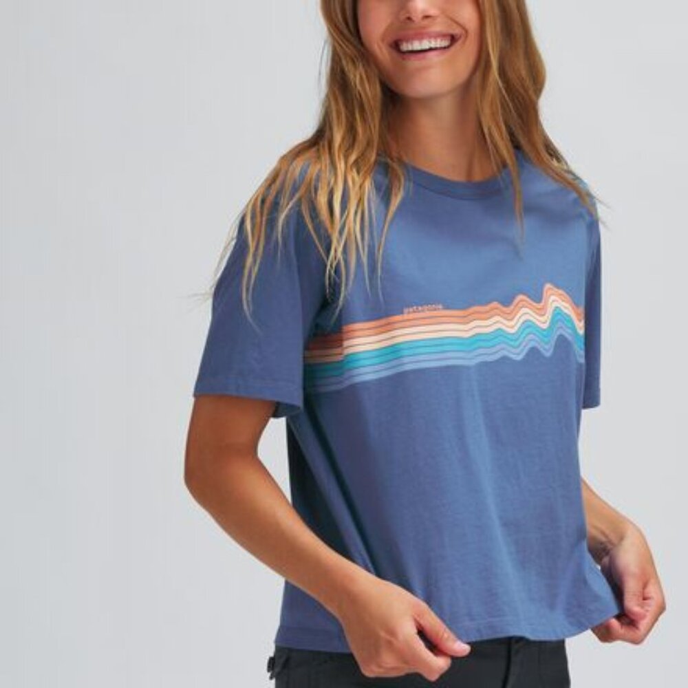 Patagonia Blue Tee with Multicolor Wave Stripe